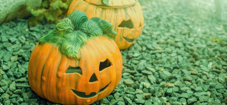 Kvíz: mit jelent a Halloween szó magyarul? Több tízezer magyar fog nagyon meglepődni ezen