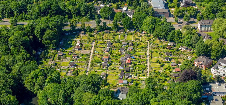 Gyerekek játszottak a kertben, váratlanul kibukkant valami a föld alól, azonnal rendőröket hívtak a szülők – minden idők legdöbbenetesebb sztorija már 44 éves