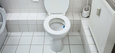 Lehajtod a vécé tetejét, miután végeztél a dolgoddal? Sokkoló videó került elő nem várt következményekkel