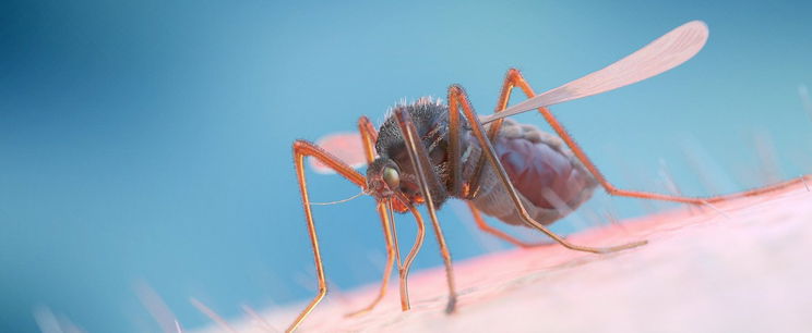 A háborúknál is több áldozatot szed ez a veszélyes állat, valóságos gyilkos és nincs előle menekvés