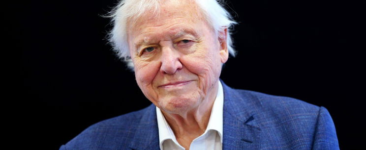 Igazi csodát látott Magyarországon David Attenborough, videón az elképesztő jelenség