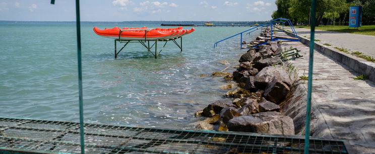 Veszedelmes vadállat bukkant fel a Balatonnál, ami nem csak az emberre veszélyes