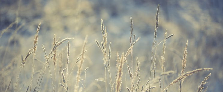 Kőkemény hideg tör be az országunkba, -10 fokot is mérhetünk a hétvégén