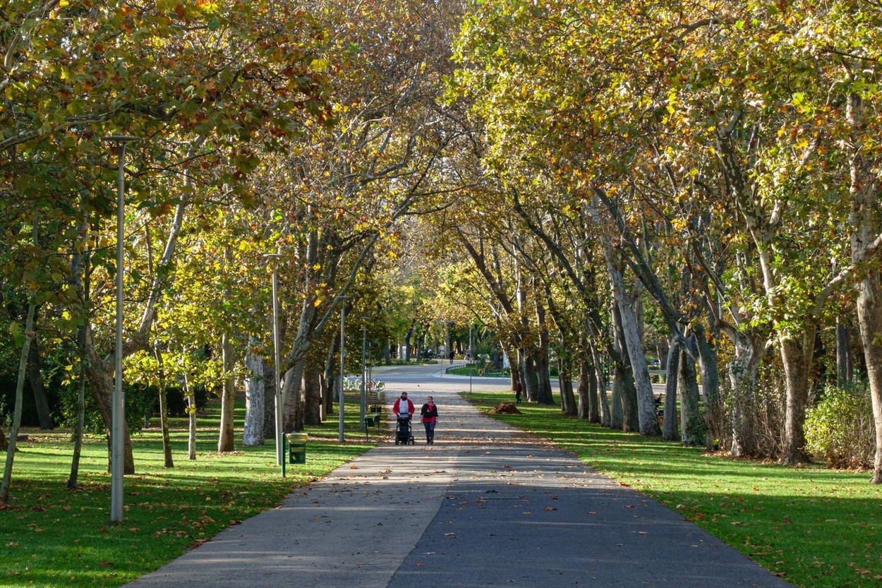 Megmagyarázhatatlan híd áll a Városliget kellős közepén, amelyről senki sem tudja hova vezet, ez a park rejtett kincse