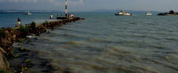 Egészen különös dolgok történnek a Balatonnál, még a szakemberek sem értik mi okozza a kialakult helyzetet