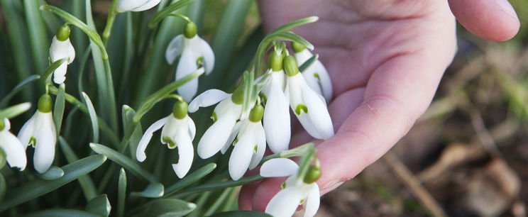 Február utolsó napján sem kímél minket az időjárás, egészen extrém jelenségre figyelmeztetnek a meteorológusok - részletes időjárás-előrejelzés