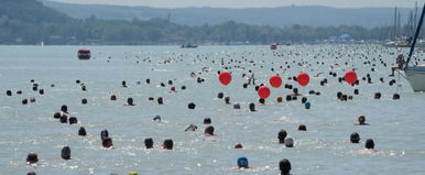 Pofátlan lehúzás már a Balaton-átúszás is? Rengetegen háborognak, iszonyat drága a részvétel