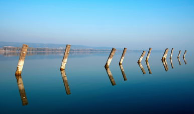 Titokzatos dolgot találtak a Balaton partján, több millió éves