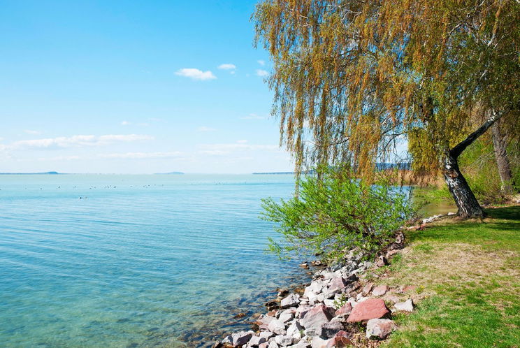 Folytatódott Imane Helif botránya, a Balatonnál is szörnyű dolgok történtek