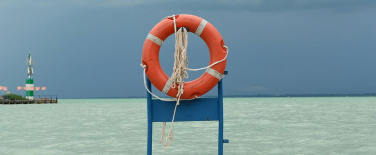 Valami nagyon megváltozott a Balatonban, és nem biztos, hogy ez jót jelent