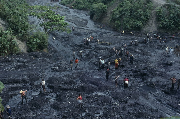 Gigantikus, ősi giliszta-szörnyet fedeztek fel egy brazil bánya építésekor, a sokat látott biológusok is megrettentek