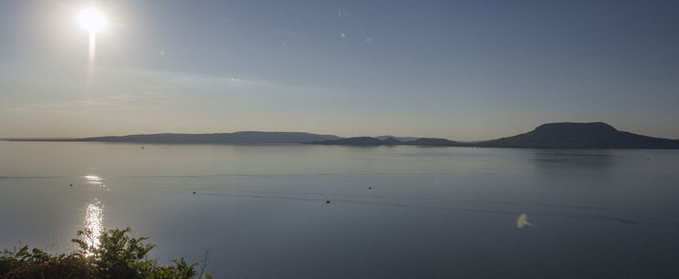 Több ezer tonnányi kerül évente a Balatonba, egyetlen nap alatt elképesztő mennyiségű halat telepítettek a magyar tengerbe