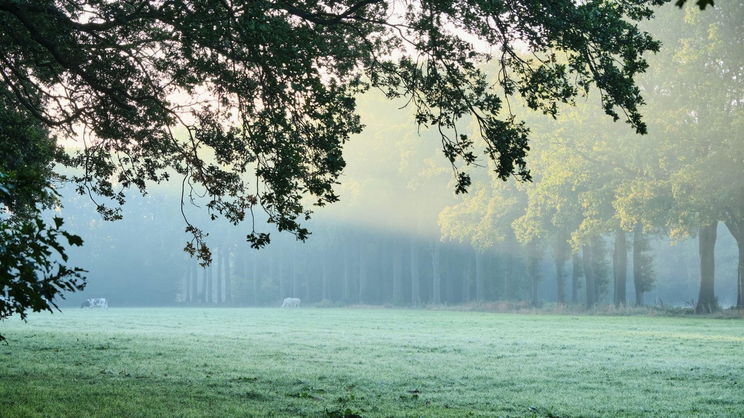 Itt az őszi őrület, felhősödik az idő, lehűlés is jön, de marad a napsütésből is - részletes időjárás előrejelzés