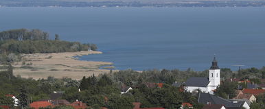 Feltűnt valami a Balaton vizében, már kiadták a kilövési engedélyt