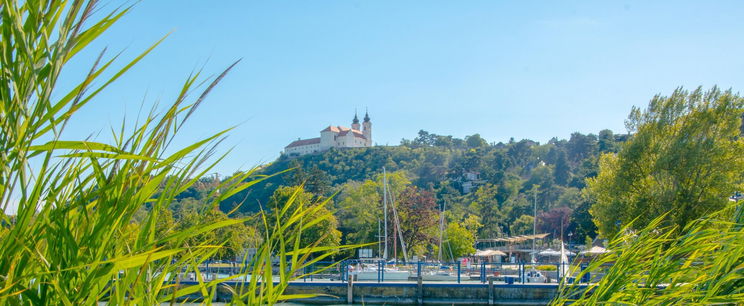 Több száz kilós ragadozót láttak a Balaton környékén, hatalmas a pánik