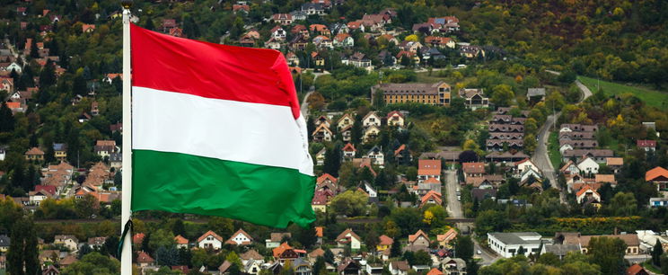 Ismeretlen hungarikum alapanyag, sok magyar családnak soha nem kerül az asztalára: így kell tökéletesen elkészíteni