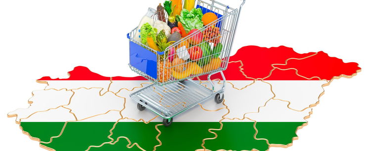 Magyar ételeket kóstolt egy külföldi, az egyiknél hirtelen elsírta magát