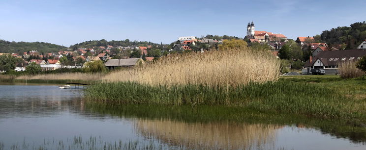 A világon egyedülálló, amit a Balatonnál találtak, ilyen nincs még egy a Földön
