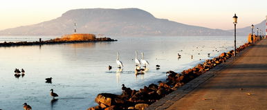 Szétbüntetik a magyarokat a Balatonnál, képtelenség védekezni ellene