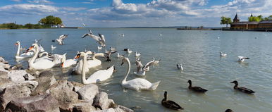 Rendkívüli, amit Szlovákiában a Balatonról írtak, leleplezték hazánk tengerét