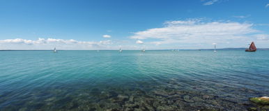 Láthatatlan gyilkos jelent meg a Balatonnál, nagyon vigyázni kell