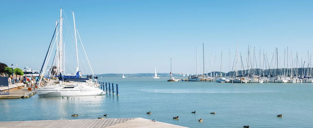 Sokkoló videó jött a Balatonról, elborzasztó látványban lehet részed