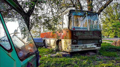 Óriási magyar busztemetőt találtak, a tiltott helyen a kamera különös dolgot szúrt ki