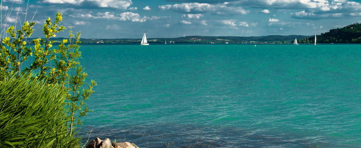 Elképesztő lény jelent meg a Balatonnál, hatalmas pusztítást végez