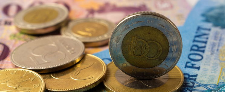 185 ezer forintot ér egy 20 forintos, elképesztő miért