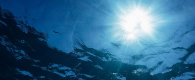 Idegen fekete lények élnek a Csendes-óceán mélyén, elképesztő bizonyítékot hoztak felszínre a tudósok