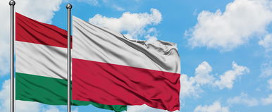 Lengyel lány észrevett valami rendkívülit Magyarországon, ami példátlan a világon