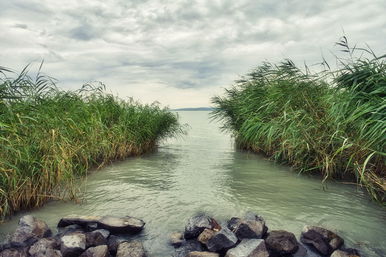 Furcsa kép terjed a Balatonról, nagyon nem stimmel valami