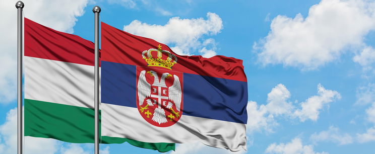 Egy szerb tudós rendkívülit mondott a magyarokról, az állítása botrányos vitákat gerjesztett