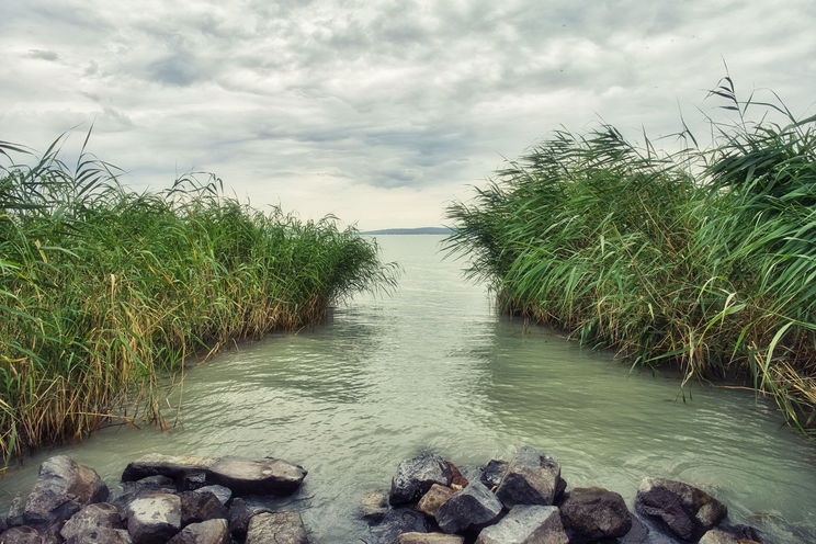 Hervasztó igazság a Balaton vizéről: folyamatosan zajlanak a vizsgálatok és sokan nem is tudnak róla