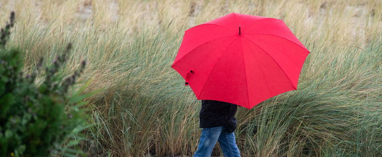 11 vármegyére zubog a csapadék, kettévágja az országot a csapadékzóna a legfrissebb előrejelzések szerint? Részletes időjárás-előrejelzés