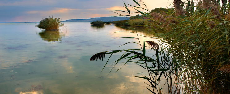 Belebuktak a Balaton legnagyobb fejlesztésébe, milliók bánhatják