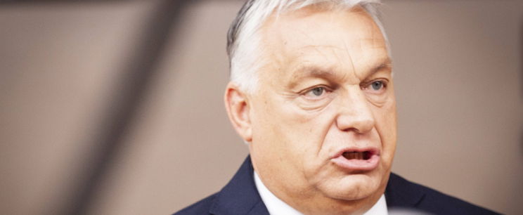 Alattomos támadás a Digitális Polgári Körök ellen, nem akármivel tették őket nevetségessé