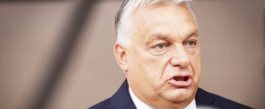 Alattomos támadás a Digitális Polgári Körök ellen, nem akármivel tették őket nevetségessé