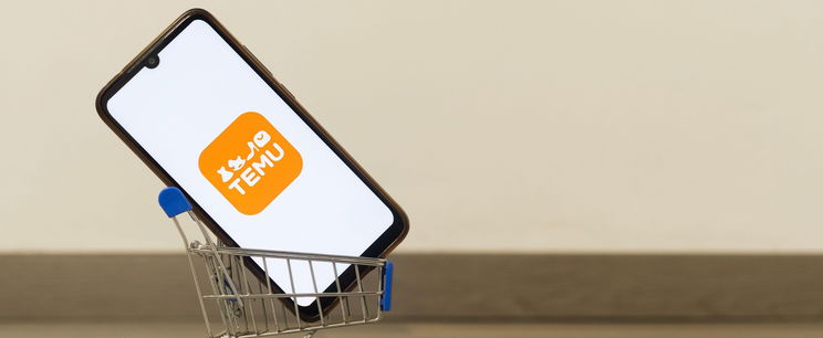 Ebbe belebukhat a Temu, rákkeltő élelmiszerek tűntek fel a kínálatában