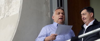 Újabb egzotikus állatok Hatvanpusztán, véletlenül felvette a kamera őket?