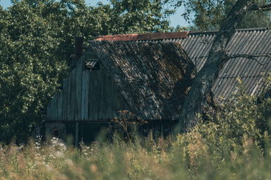 Gyanútlanul leástak a házuk alá, borzasztó amit ott találtak