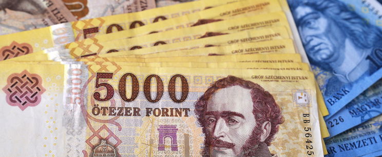 27 millió forintot kértek ezért a kutyáért, a rendőrségnek kellett elbújtatnia