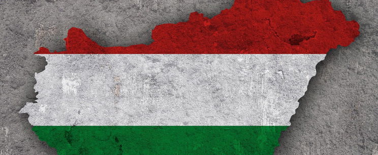 Egy külföldi oldal kíméletlenül leírta a magyarokat, pár szót írtak ki rólunk