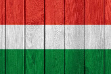 Durva jelentésük van a magyar neveknek külföldön, csúnyán kinevethetnek miattuk
