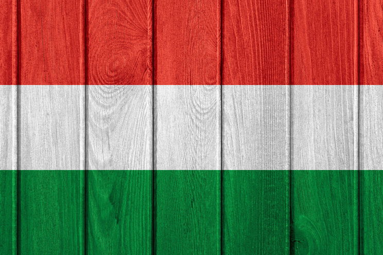 Durva jelentésük van a magyar neveknek külföldön, csúnyán kinevethetnek miattuk