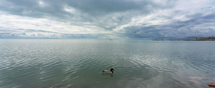 Kádár miatt tiltották be a Balatonon a magyarok kedvenc időtöltését, a mai napig érezzük a hatását