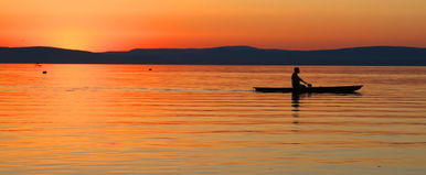 Rengetegen látják a Balatonnál az ijesztő lényt, de kevesen mernek beszélni róla