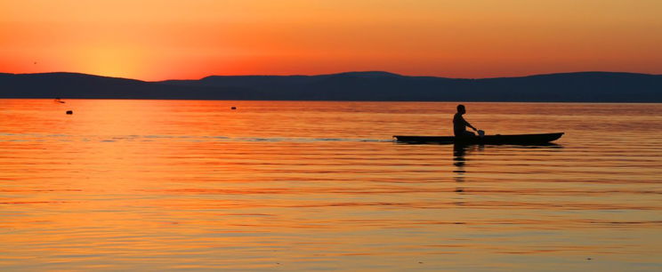 Rengetegen látják a Balatonnál az ijesztő lényt, de kevesen mernek beszélni róla