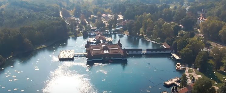  Hatalmas lény fürdött a Hévízi-tóban, csak egy ember mert a közelébe menni