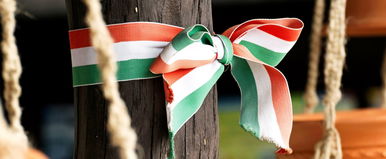 Egy külföldi sokkolta a magyarokat, felfedte mit jelent valójában a legtöbbet használt magyar szó